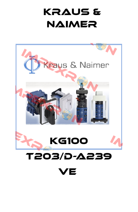  KG100 T203/D-A239 VE  Kraus & Naimer