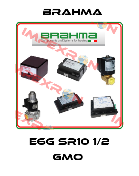 E6G SR10 1/2 GMO  Brahma