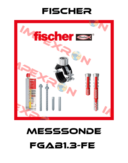 MESSSONDE FGAB1.3-Fe  Fischer