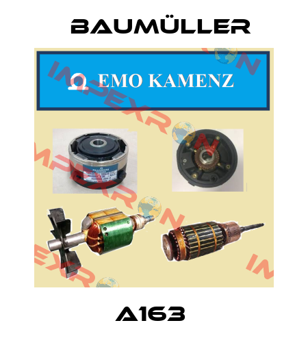 A163  Baumüller