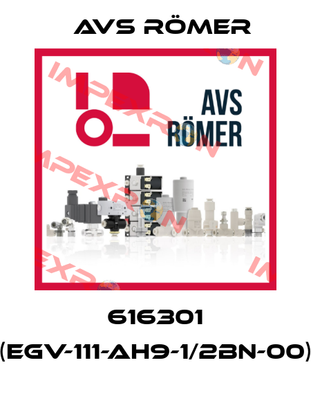 616301 (EGV-111-AH9-1/2BN-00) Avs Römer