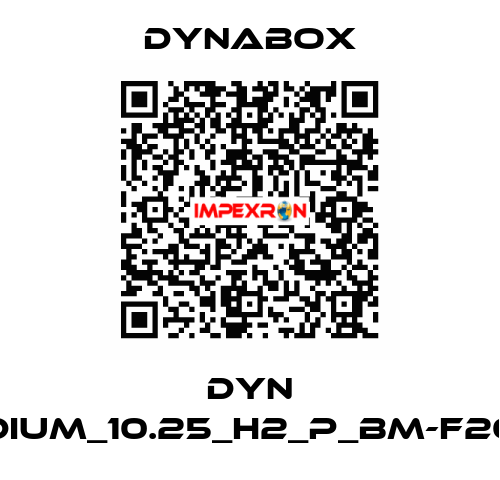 DYN 63_MEDIUM_10.25_H2_P_BM-F200_114.3 Dynabox