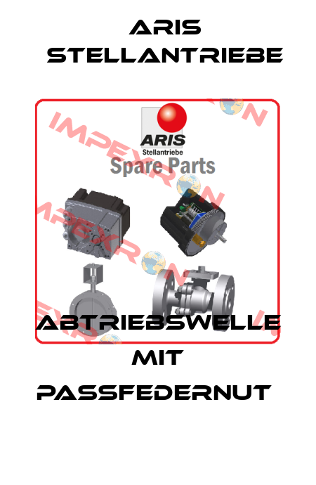Abtriebswelle mit Passfedernut  ARIS Stellantriebe