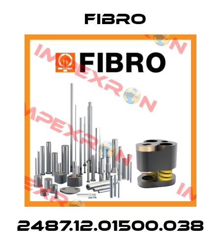 2487.12.01500.038 Fibro