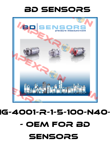 18.601G-4001-R-1-5-100-N40-1-000 - OEM for Bd Sensors  Bd Sensors