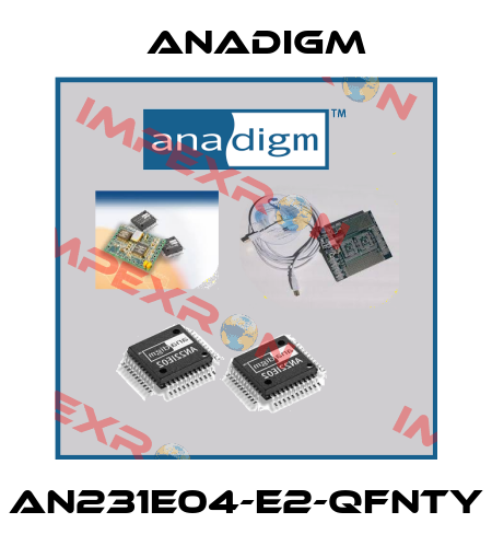 AN231E04-E2-QFNTY Anadigm