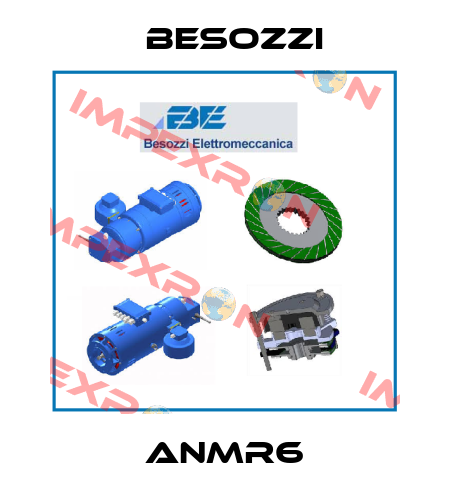 ANMR6 Besozzi