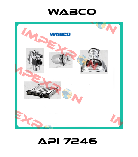 API 7246  Wabco