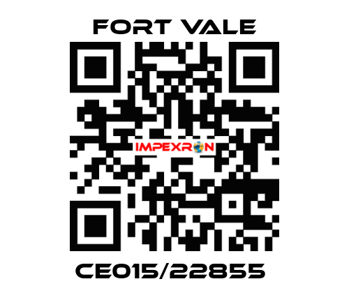 CE015/22855  Fort Vale