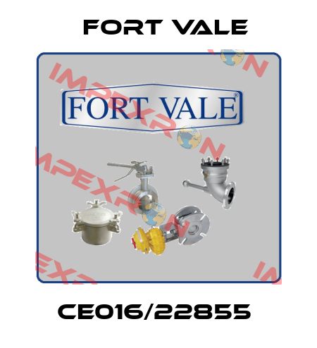 CE016/22855  Fort Vale