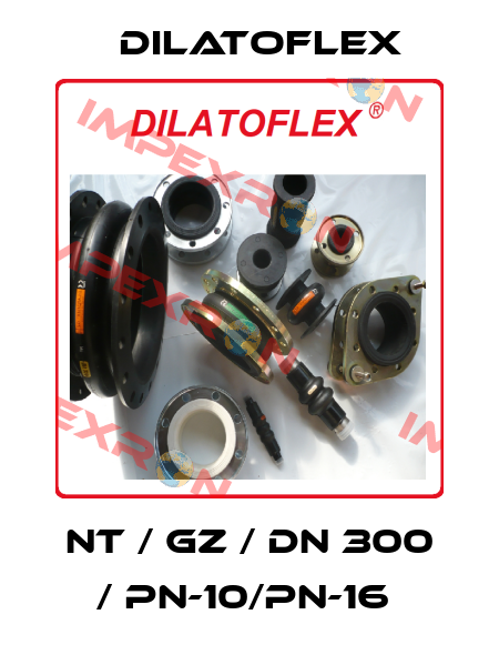 NT / GZ / DN 300 / PN-10/PN-16  DILATOFLEX