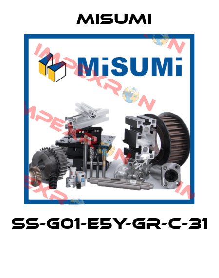 SS-G01-E5Y-GR-C-31  Misumi