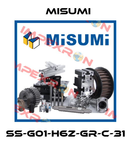 SS-G01-H6Z-GR-C-31  Misumi