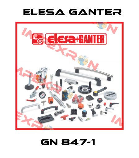 GN 847-1  Elesa Ganter