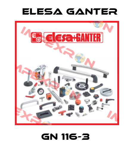 GN 116-3  Elesa Ganter