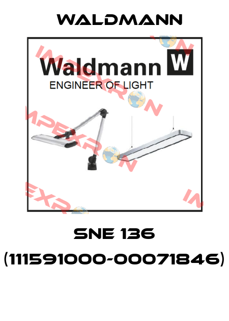 SNE 136 (111591000-00071846)  Waldmann