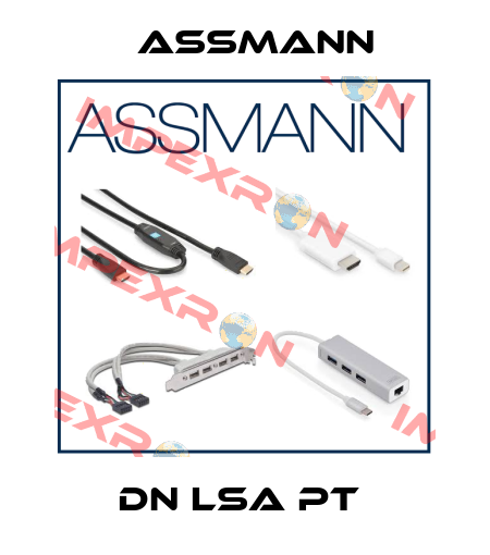 DN LSA PT  Assmann