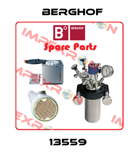 13559  Berghof