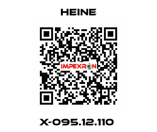 X-095.12.110  HEINE