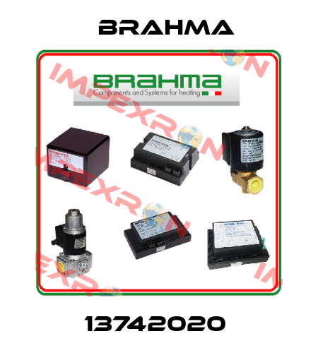 13742020  Brahma