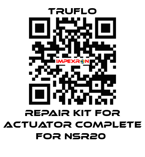 Repair Kit For Actuator Complete For NSR20  TRUFLO