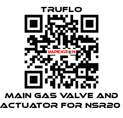 Main Gas Valve and Actuator For NSR20  TRUFLO