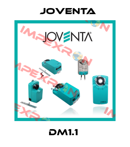 DM1.1  Joventa