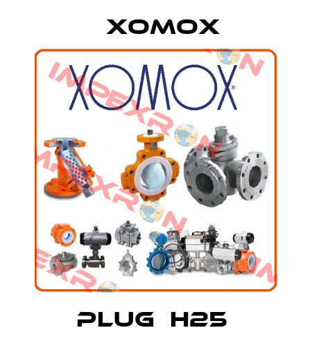 PLUG  H25  Xomox