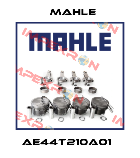 AE44T210A01   MAHLE