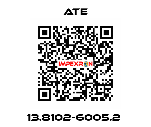 13.8102-6005.2  Ate