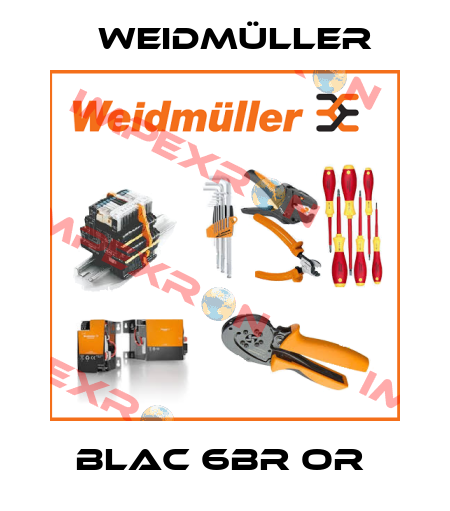BLAC 6BR OR  Weidmüller