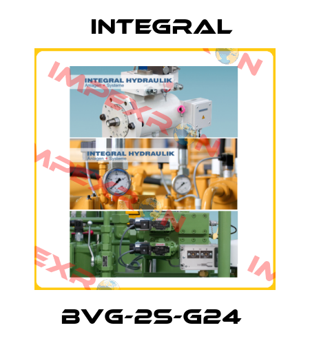 BVG-2S-G24  Integral