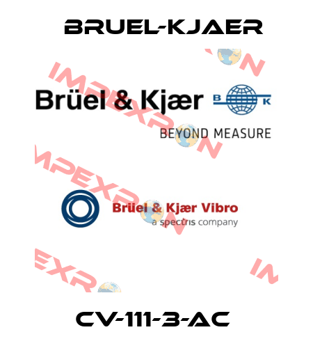  CV-111-3-AC  Bruel-Kjaer