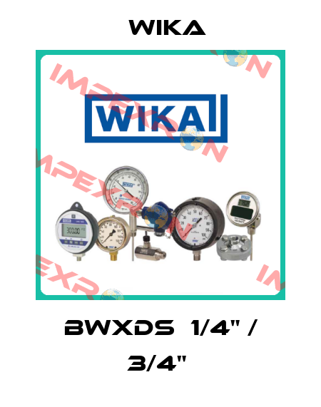 BWXDS  1/4" / 3/4"  Wika