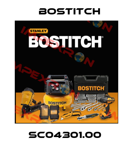 SC04301.00  Bostitch