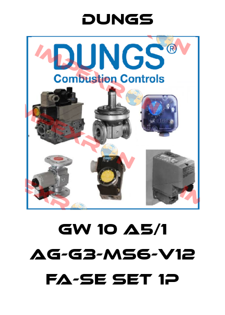 GW 10 A5/1 Ag-G3-MS6-V12 fa-se Set 1P Dungs