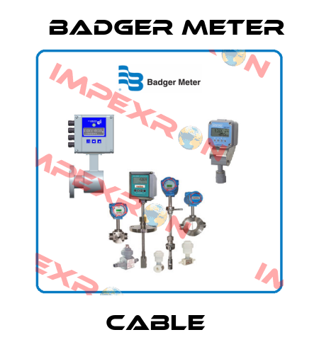 CABLE  Badger Meter