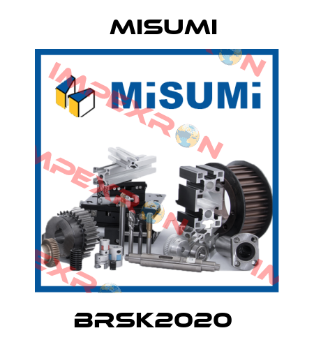 BRSK2020  Misumi