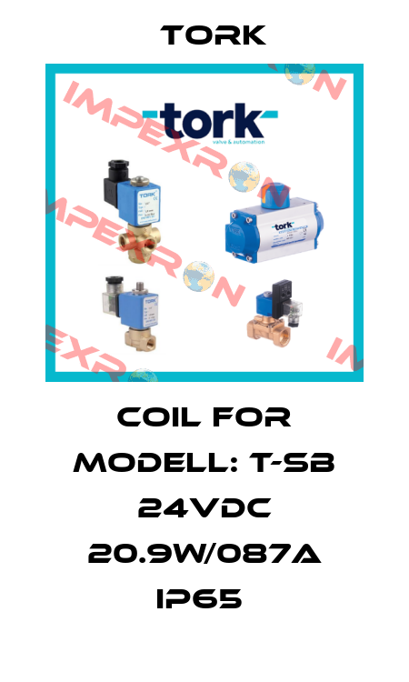 COIL FOR MODELL: T-SB 24VDC 20.9W/087A IP65  Tork
