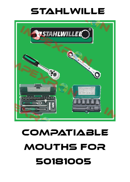 COMPATIABLE MOUTHS FOR 50181005  Stahlwille