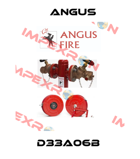 D33A06B  Angus