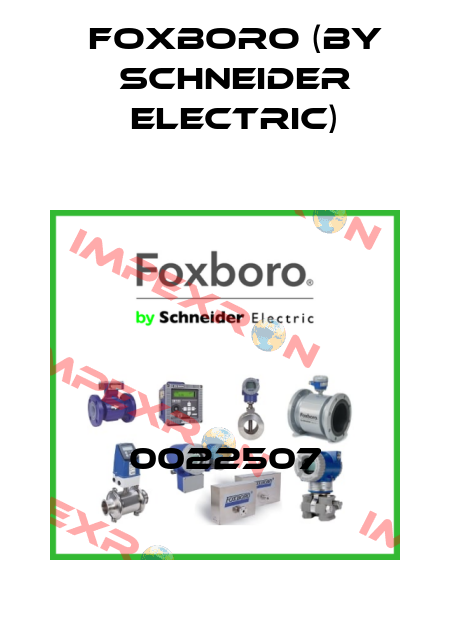 0022507 Foxboro (by Schneider Electric)