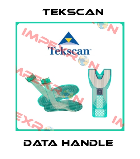 data handle  Tekscan