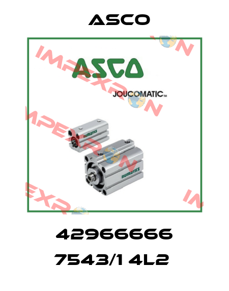 42966666 7543/1 4L2  Asco
