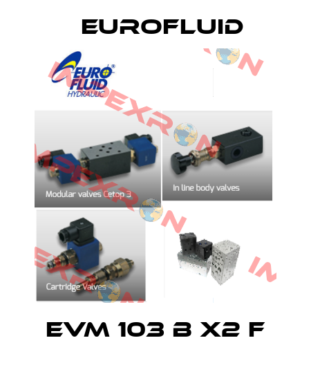 EVM 103 B X2 F Eurofluid