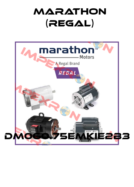 DM060.75EMKIE2B3  Marathon (Regal)