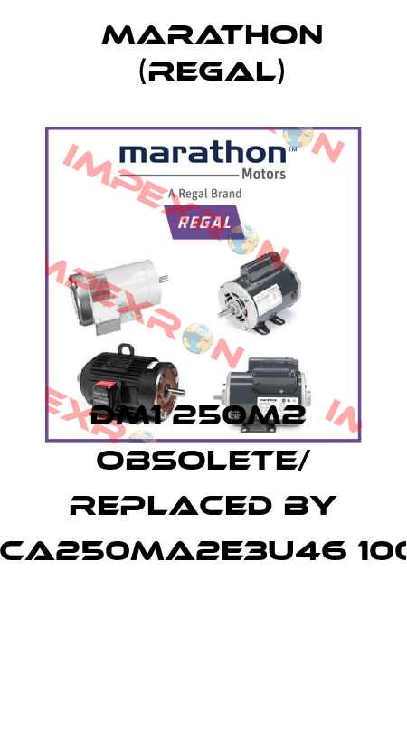 DM1 250M2  obsolete/ replaced by TCA250MA2E3U46 1001   Marathon (Regal)