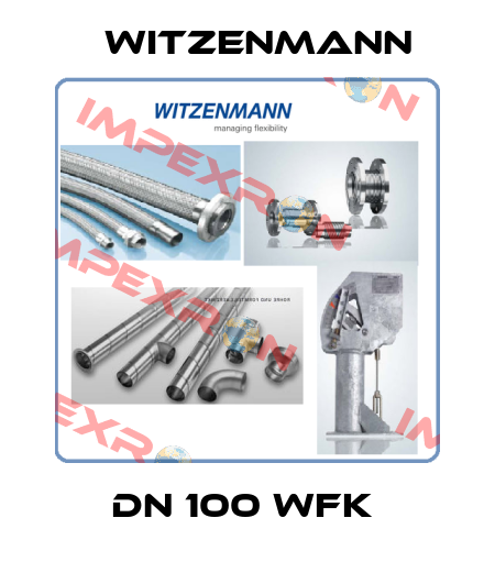 DN 100 WFK  Witzenmann