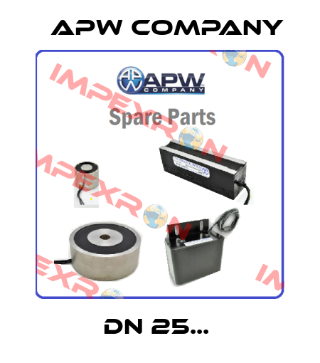 DN 25...  Apw Company
