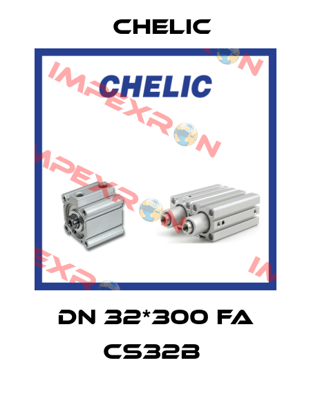 DN 32*300 FA CS32B  Chelic